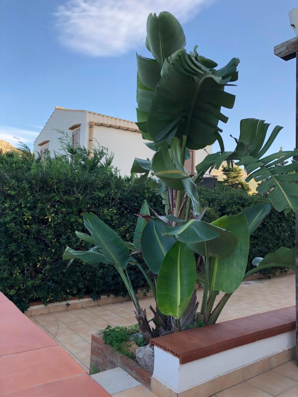 Villa A San Vito Lo Capo Minaudo Exterior photo